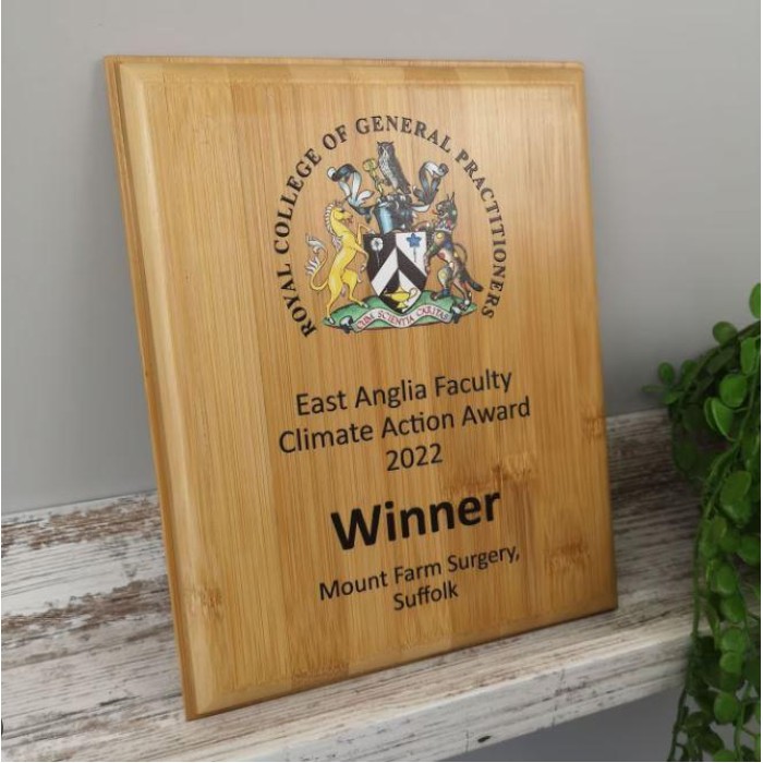 Wooden Plaque Award